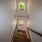 Apartman Gardelin Superior Zára